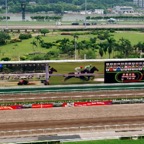 HKJC ST70M 800.jpg